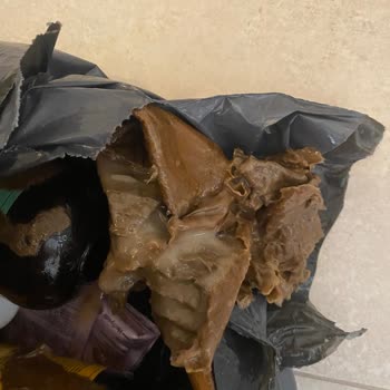 Ashley Joy Antifrizz Şampuanın Dökülmesi Ve İletişim Eksikliği