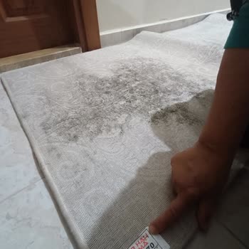 Halı Yıkama Hizmetinde Küf Problemi