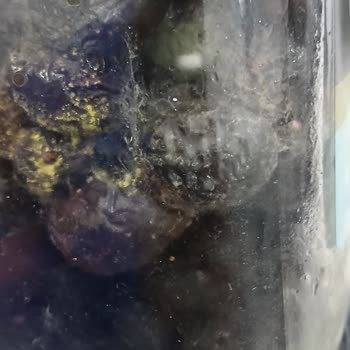 Bozuk Ürün Ve Kalite Sorunu