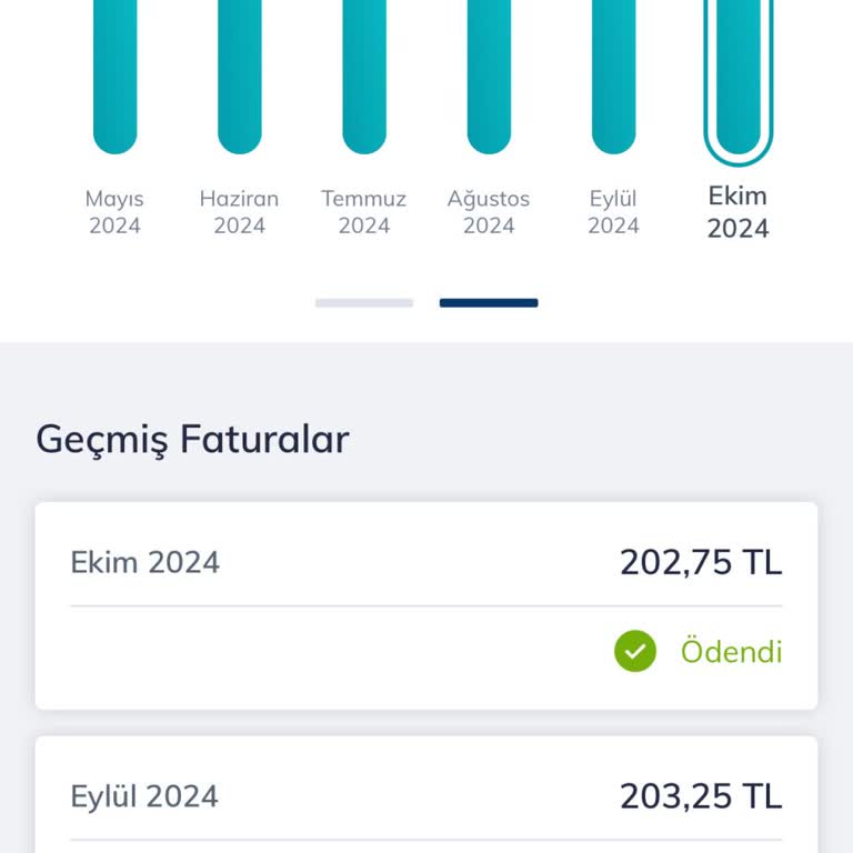 Fatura Artışı Ve Zorunlu Tarife Şikayeti