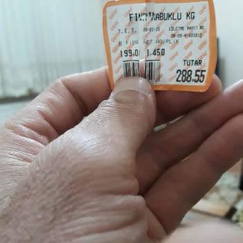 Çitlekçi Bayat Ve Kurtlu Fındık Deneyimi