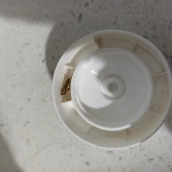 Gıda Ürününde Şok Edici Böcek Sürprizi