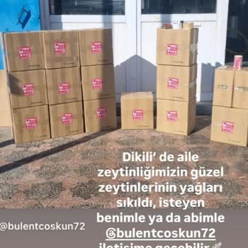 Zeytinyağı Teslimatında Hasar Ve Kayıp
