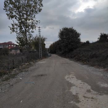 Düzce'de Karanlıkta Kalan Mahalle: Sokak Lambaları Sorunu