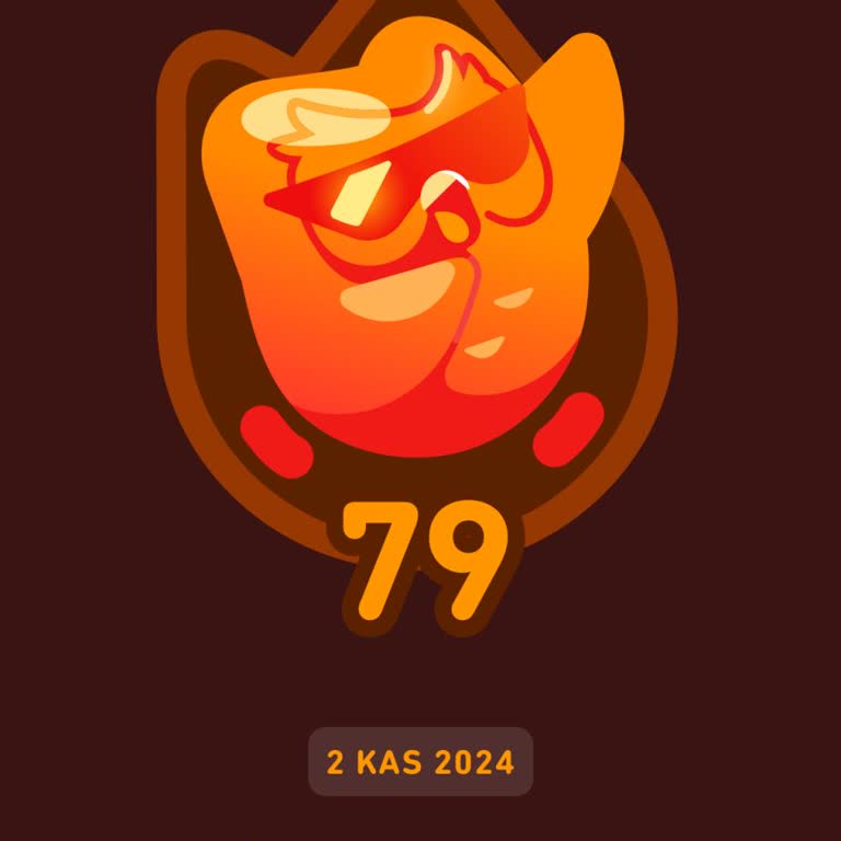 Duolingo Seri Kaybı Ve Geri Yükleme Talebi