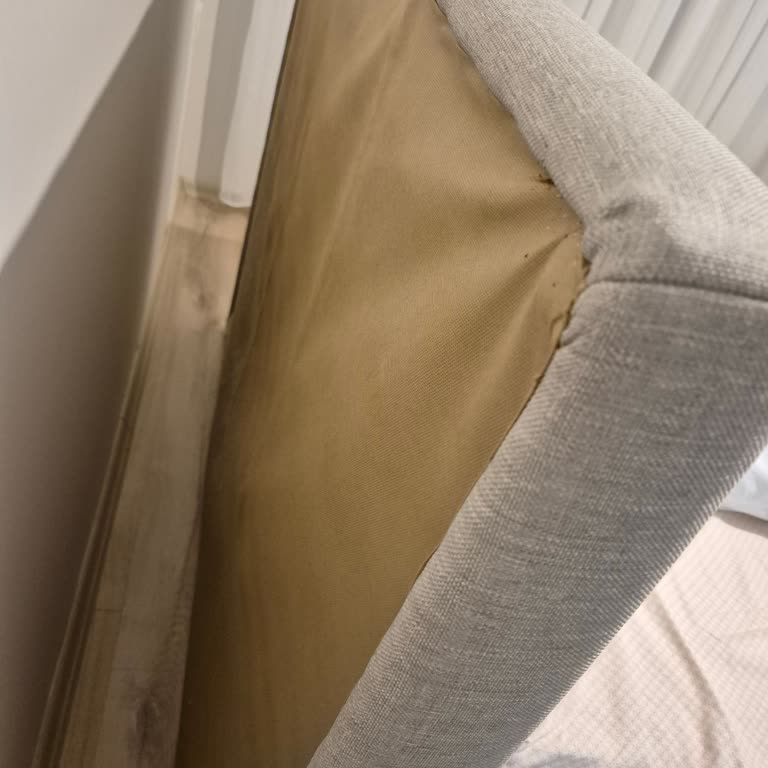 Teşhir Ürünü Yatak Başlığı Kabusu: Tahta Kurusu Sorunu