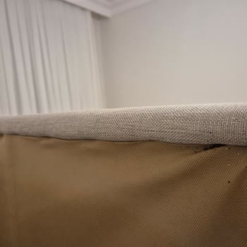 Teşhir Ürünü Yatak Başlığı Kabusu: Tahta Kurusu Sorunu