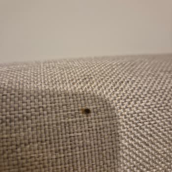 Teşhir Ürünü Yatak Başlığı Kabusu: Tahta Kurusu Sorunu