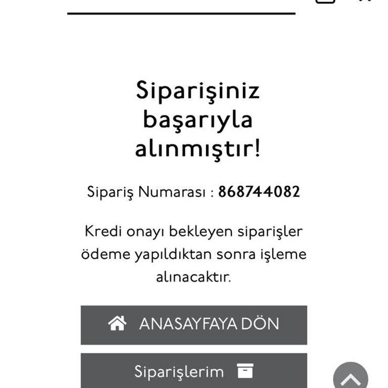 Yargıcı Online İade Sürecinde Yaşanan Sorunlar