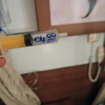 Ek