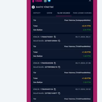 Yatırımım Hesabıma Yansımıyor