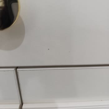 Mondihome Çeyiz Paketinde Hasarlı Teslimat Sorunu