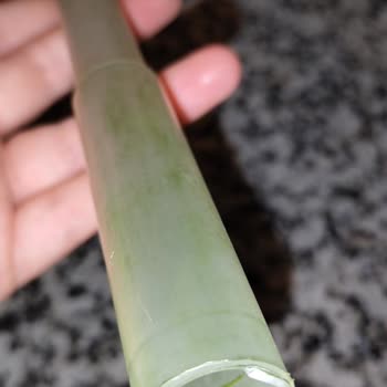 Getir'den Aldığım Damacana Sudan Yosun Çıktı!