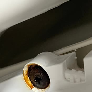 Beko Çamaşır Makinesi Vidaları Küfleniyor