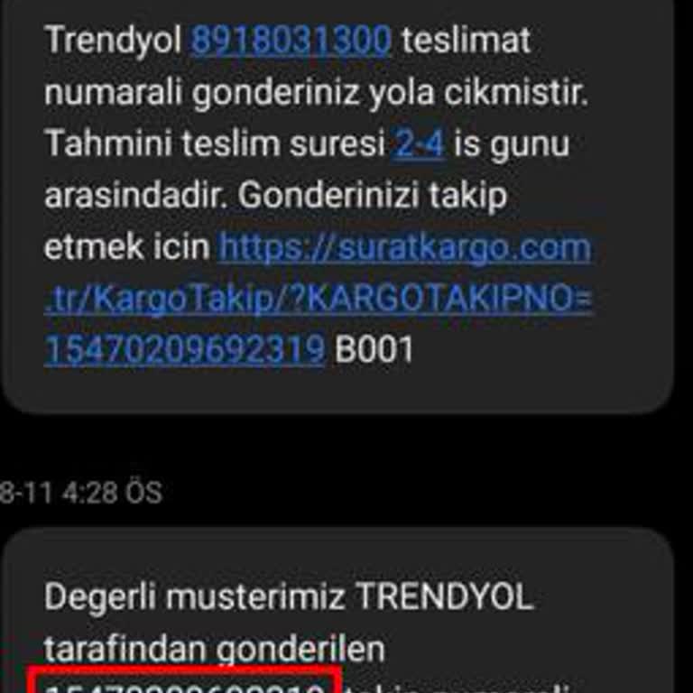 Sürat Kargo'nun Gecikmesi Kedileri Mağdur Ediyor