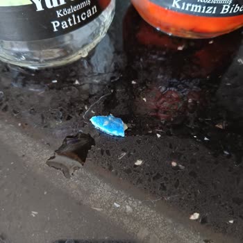 BİM'den Aldığım Konservenin İçinden Plastik Çıktı!