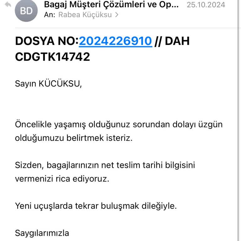 İptaller, Gecikmeler Ve Kaba Personel: THY İle Seyahat Kabusu