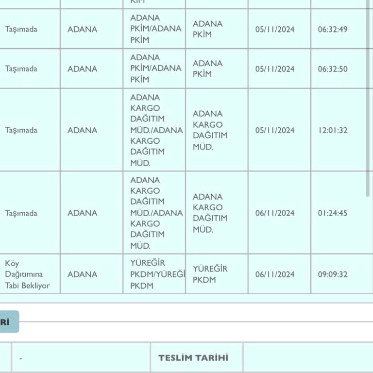 Kargo Teslimatında Gecikme Ve İletişim Sorunu