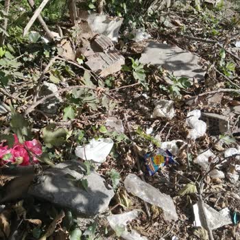 Gürültü Ve Kirlilikten Mahallede Yaşam Zorlaşıyor