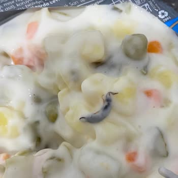 Harras Marka Rus Salatasında Böcek Şoku