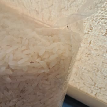 Böcekli Pirinç Kabusu: Mutfakta İstenmeyen Misafirler