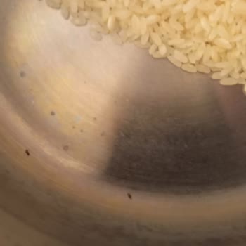 Böcekli Pirinç Kabusu: Mutfakta İstenmeyen Misafirler