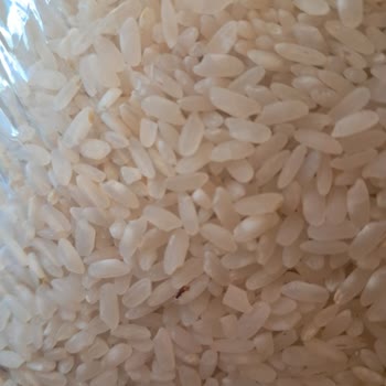 Böcekli Pirinç Kabusu: Mutfakta İstenmeyen Misafirler