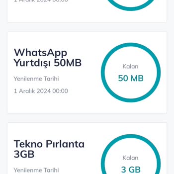 Merkezi Konumda Şebeke Sorunu Ve İnternet Erişimi