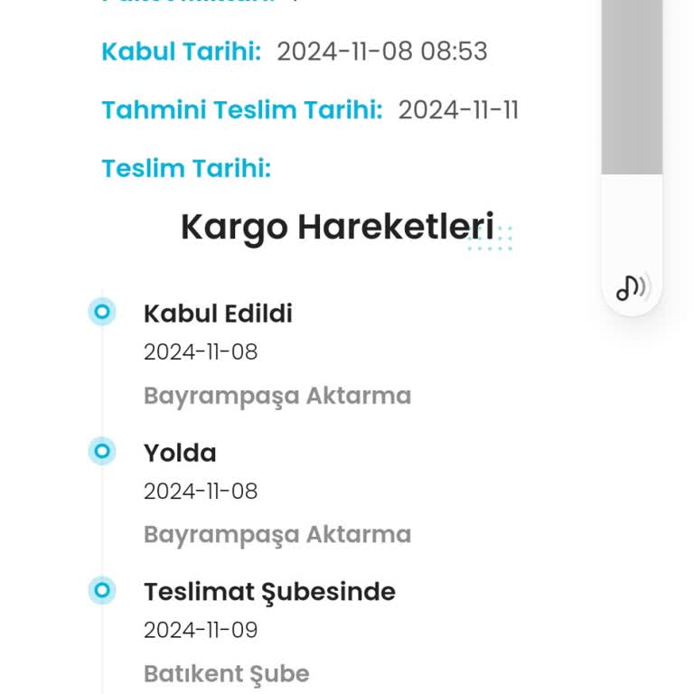 Zara Siparişimde Kargo Sorunu Ve Teslimat Gecikmesi