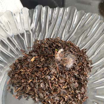 Çay Paketinden Çıkan Şok Edici Yabancı Madde