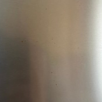 Buzdolabında Erken Paslanma Ve Kapak Sorunları