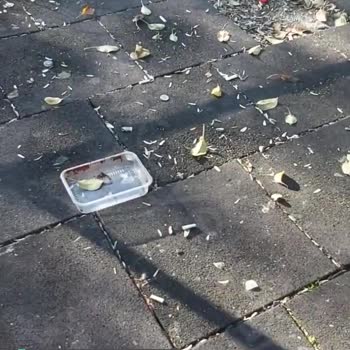 Kdz Ereğli Belediyesi Parklar Çöp İçinde!