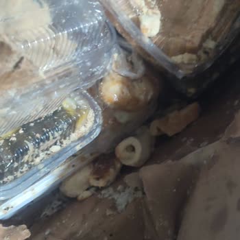 Kargoda Parçalanan Ürün Şoku