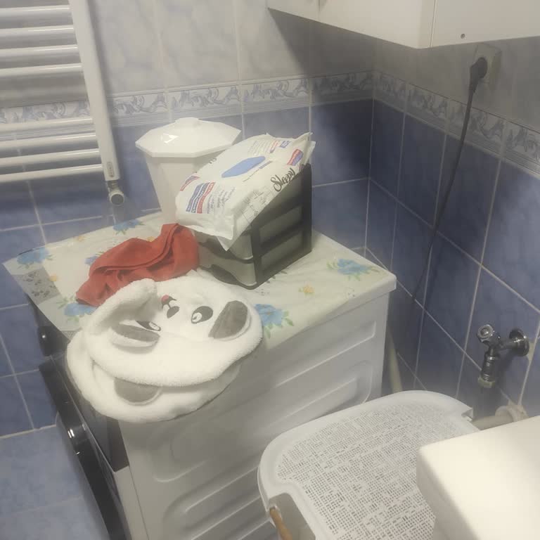 Yürüyen Çamaşır Makinesi: Beko Servisinden Çözüm Yok
