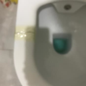 Kale Klozet Kapağı: Dayanıksız Tasarım Ve Kırılma Sorunu