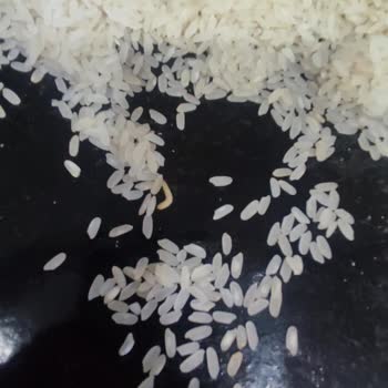 Kurtlu Pirinç Ve Sağlık Tehdidi