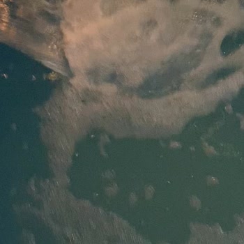 Bigados Otel & Bungalov & Restorant Şikayeti