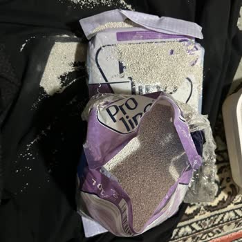 Yırtık Kedi Kumu Paketleriyle Gelen Sorun