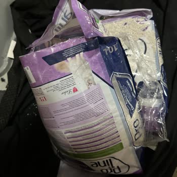 Yırtık Kedi Kumu Paketleriyle Gelen Sorun
