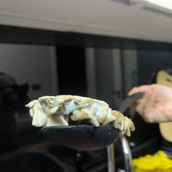 Küflü Mantı Şoku: Superfresh Depolama Sorunu