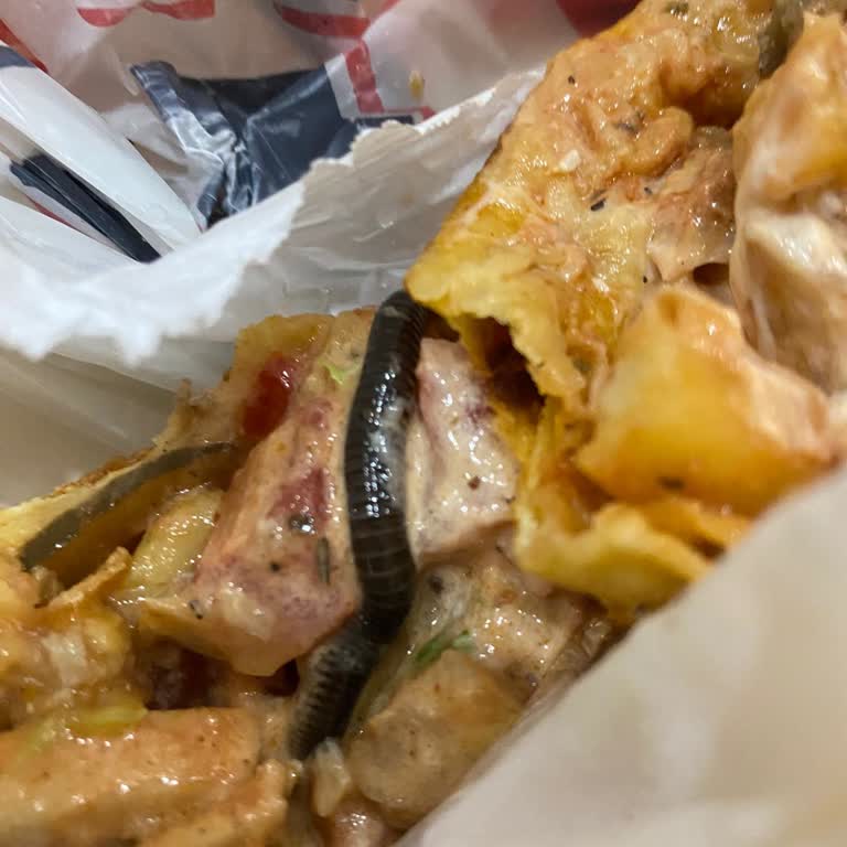 Sağlık Tehlikesi: Dürümden Çıkan Solucan