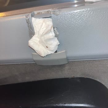 Böceklerle Dolu Yolculuk Kabusu