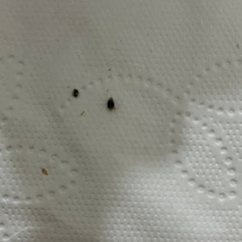 Beyoğlu Dubai Gofret İçindeki Sert Maddeler Diş Kırıyor