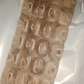 Bozulmuş Milka Çikolata Hayal Kırıklığı
