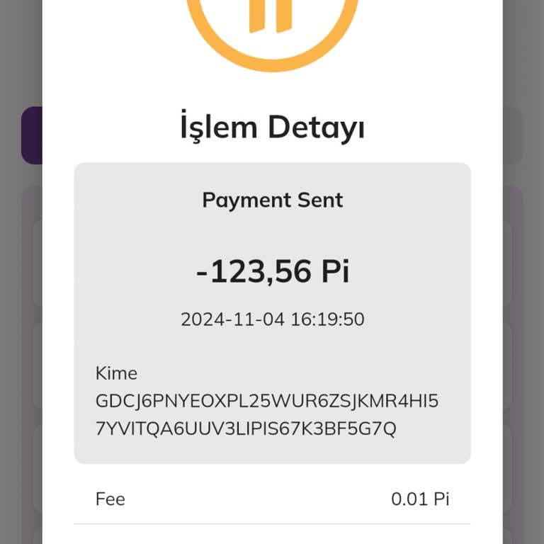 Yetkisiz Pi Transferi Ve Destek Eksikliği