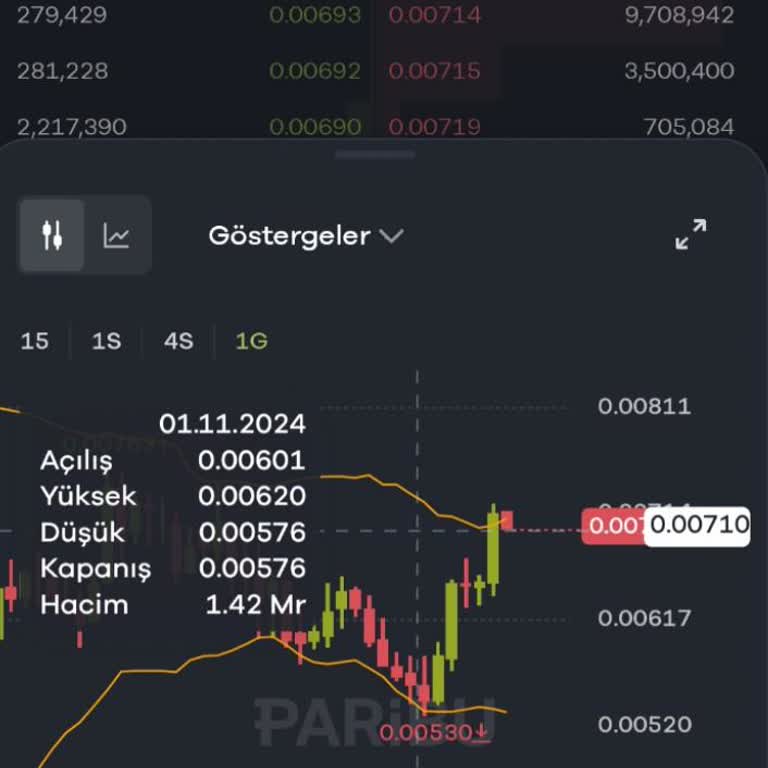 Paribu Grafik Hataları Can Sıkıyor