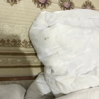 Eki aç
