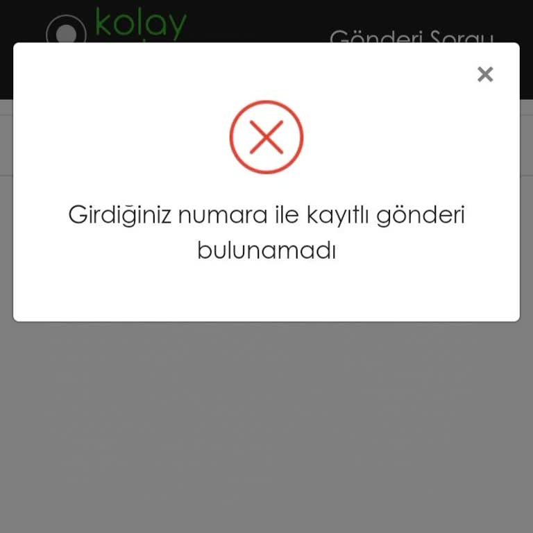 Kiko Milano Online Siparişimde Kargo Takip Sorunu