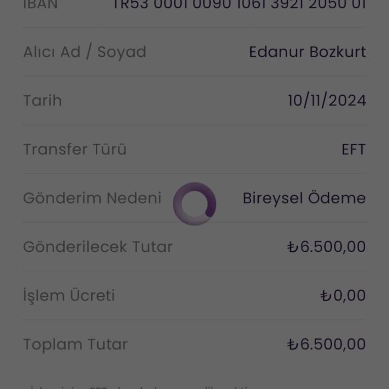 Para Transferi Ve Çekim Sorunu