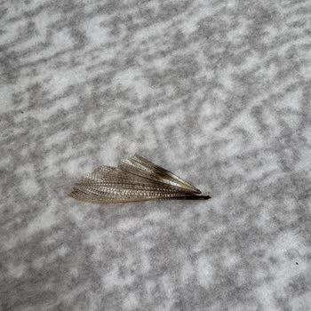 Bosch Servisinde Garanti Sorunu Ve Ücret Şoku